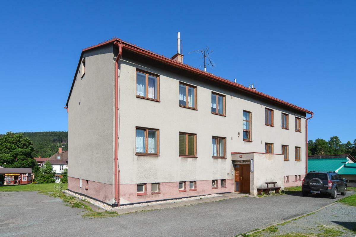 Apartman Destne 58 Διαμέρισμα Destne v Orlickych horach Εξωτερικό φωτογραφία